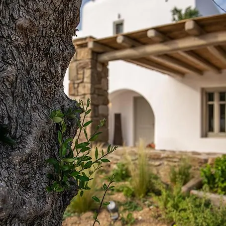 Mykonos Ag In Villa *