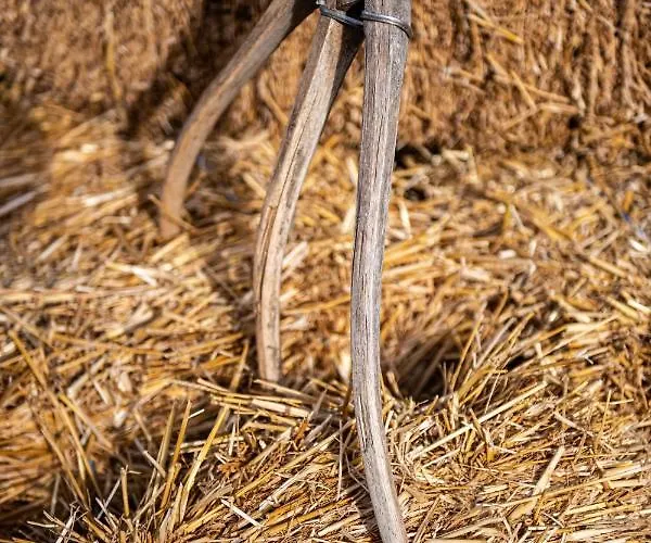 Mykonos Ag In * Ftelia (Mykonos)