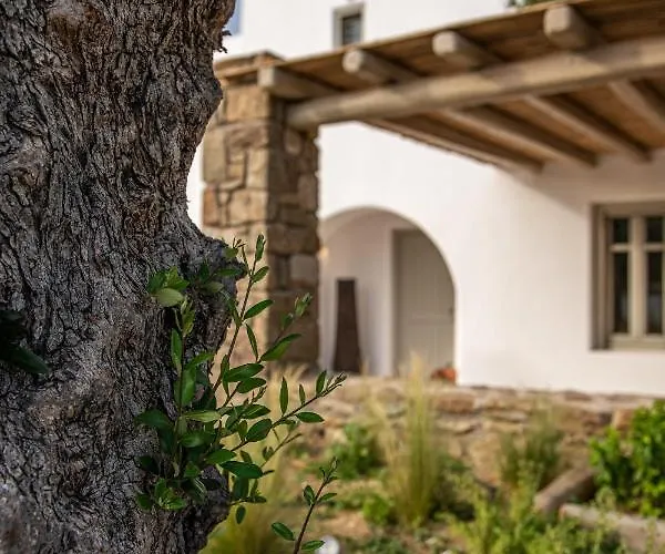 Mykonos Ag In Βίλα *